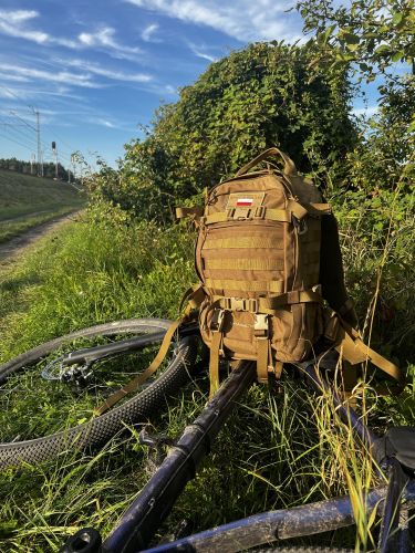 Wisport Sparrow II 30 backpack - Coyot Brown