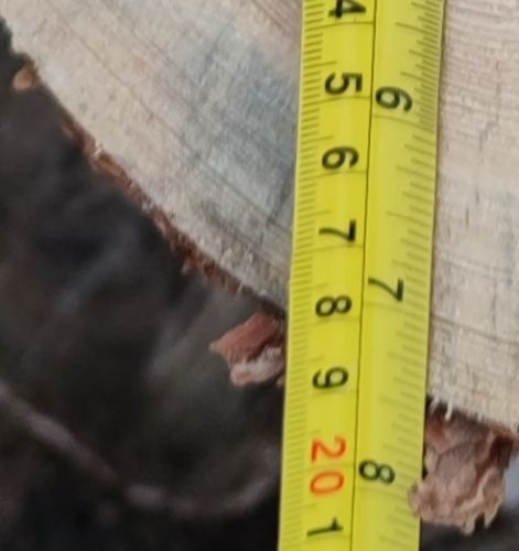 Silky Bigboy 2000 Outback Edition 360-6.5 folding saw