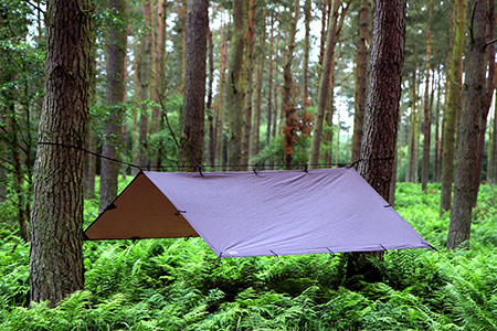 dd hammocks tarp