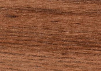 Tamboti Wood Sandalwood - Block