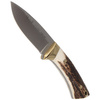 Muela Colibri Full Tang Deer Stag 70mm Knife (COL-7A)