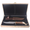 Muela Big Five Deer Stag 160mm Hunting Knife, Gift Box (ELEPHANT-16BF)