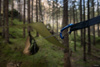 Lesovik Smuk hammock suspension