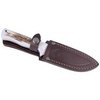 Puma IP Solingen Nordic I Stag hunting knife (810712)