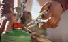 Leatherman Skeletool CX Verdant multitool (833123) - 7 tools