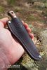 Condor Bushlore Mini Knife