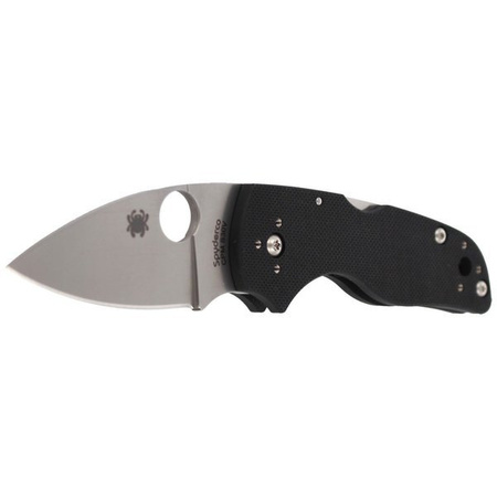 Spyderco Lil' Native Back Lock G-10 Plain Folding Knife (C230MBGP)