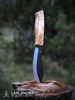 Brisa Nessmuk 125 Karelian Birch knife