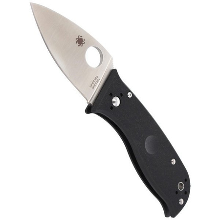 Spyderco Lil' Temperance 3 Black G-10 Plain Folding Knife - C69GP3