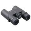 Vector Optics - Paragon 10x42 binoculars - SCBO-04