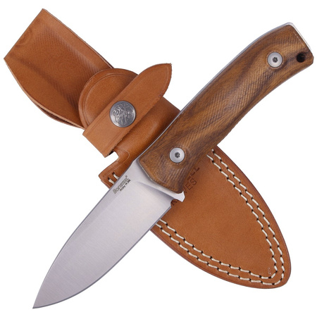 LionSteel M4-ST Bushcraf M390 Drop-P Leather Sheath Knife (M4 ST)