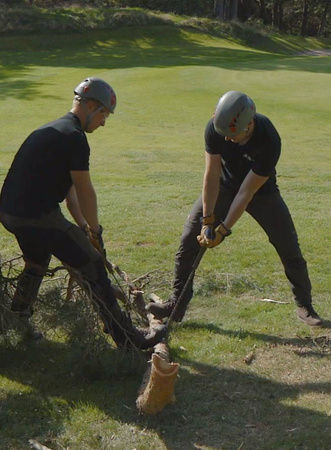 Chainsaw - Nordic Pocket Saw - the Arborist version