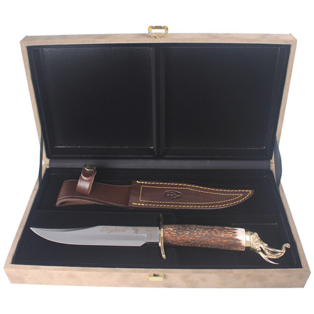 Muela Big Five Deer Stag 160mm Hunting Knife, Gift Box (ELEPHANT-16BF)