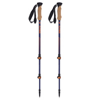 Alpinus - Monte Rosa trekking poles - navy blue and gold