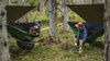 Lesovik DRAKA hammock - Treetop green