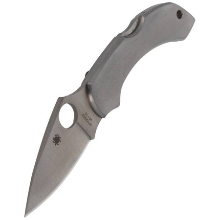 Spyderco Dragonfly Stainless Steel Plain Folding Knife - C28P