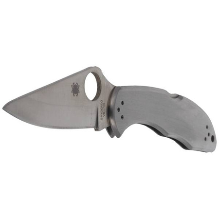 Spyderco Delica 4 Stainless Steel Plain Folding Knife (C11P)