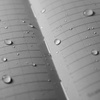 Rite in the Rain - Waterproof Large Bound Notebook - 223 x 175 mm - 80 sheets - Black - 770F-LG