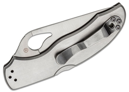 Spyderco Harrier Stainless Steel Combination Folding Knife (BY01PS2)