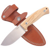 LionSteel Bushcraft Olive Wood knife, Satin Blade M390 (M2M UL)