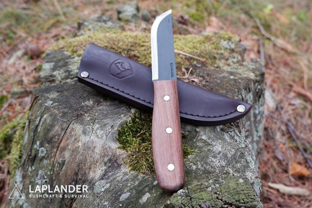 Condor Bushcraft Basic 5" Knife