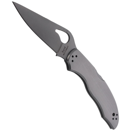 Spyderco Harrier Stainless Steel Plain Folding Knife (BY01P2)