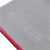 Alpinus - Alicante towel 40 x 80 cm - light grey