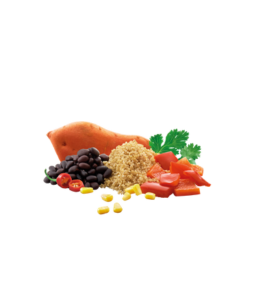 Lyommy - Freeze-dried food Beef in beer with mushrooms and barley porridge 500 g