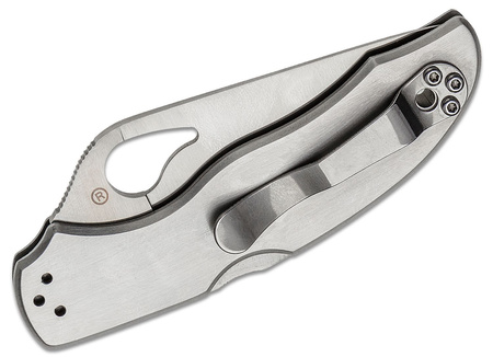 Spyderco Harrier Stainless Steel Plain Folding Knife (BY01P2)