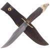 Muela Deer Stag 160mm Hunting Knife, Gift Box (WOLF-16A)