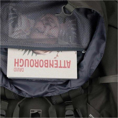 Alpinus - Veymont 45 backpack - sage