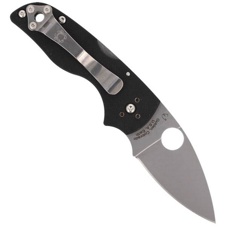 Spyderco Lil' Native Back Lock G-10 Plain Folding Knife (C230MBGP)