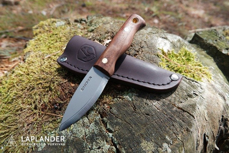 Condor Bushlore Mini Knife