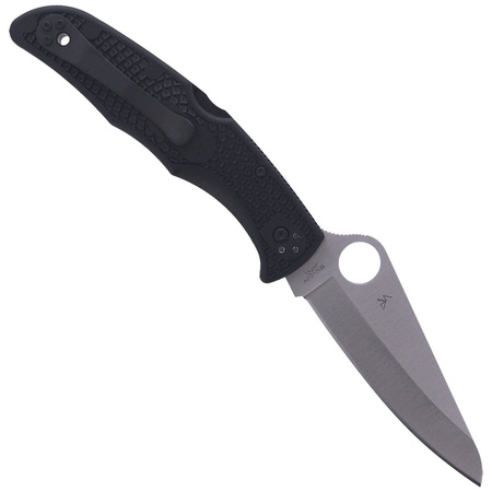 Spyderco Pacific Salt 2 Black FRN Plain Folding Knife (C91PBK2)