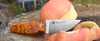 Nordic Knife Design - Beaver 70 Head