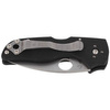 Spyderco Lil' Native Back Lock G-10 Plain Folding Knife (C230MBGP)