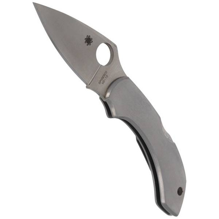 Spyderco Dragonfly Stainless Steel Plain Folding Knife - C28P