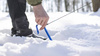 Lesovik Spig blue herring