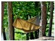 Flyhamak - Forest hammock - dark grey