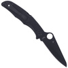 Spyderco Pacific Salt 2 Black Blade FRN Plain Folding Knife (C91PBBK2)