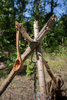 Spoon - Olive wood ladle - Petromax - handmade