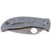 Spyderco Alcyone G-10 Grey, CTS-BD1N Plain Folding Knife (C222GPGY)