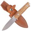 LionSTEEL B41 Olive Wood, Stonewashed Sleipner by Molletta (B41 UL) knife