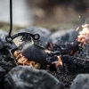 Petromax Cast Iron Potato Roaster 45 Cm