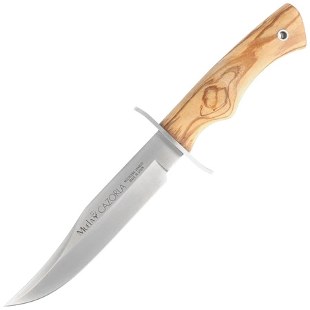 Muela CAZ-16 knife.OL Olive Wood, Satin X50CrMoV15