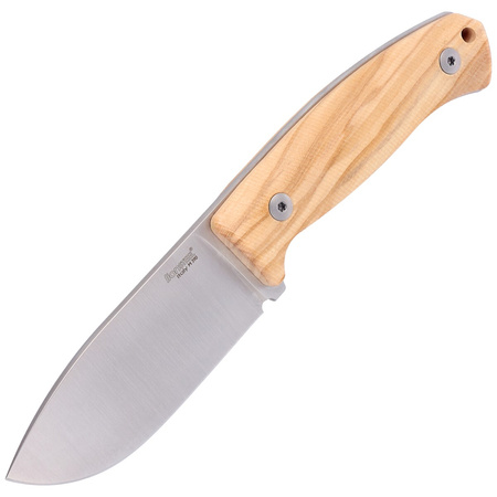 LionSteel Bushcraft Olive Wood knife, Satin Blade M390 (M2M UL)