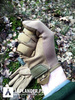 Mechanix Wear The Original Gloves - Covert