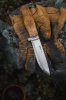 Helle - GT Knife (14C28)