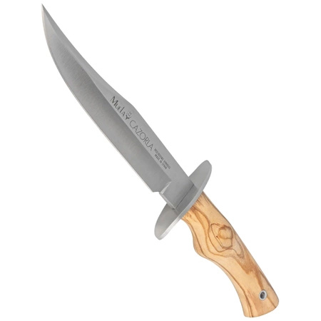 Muela CAZ-16 knife.OL Olive Wood, Satin X50CrMoV15