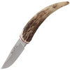 Muela Neck Knife Deer Stag 75mm (BW-6.C)